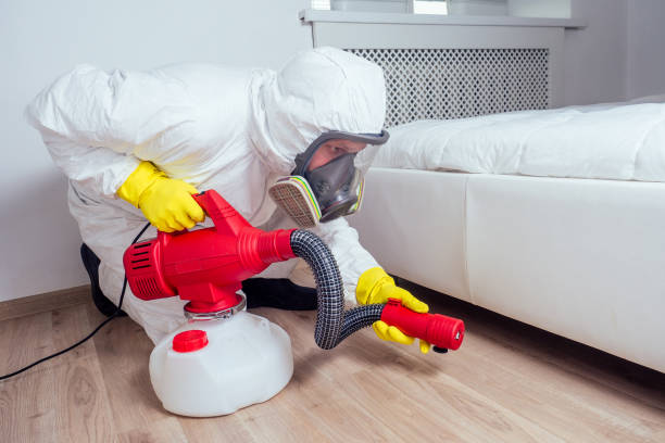 Emergency Pest Control Services in Bexley, OH